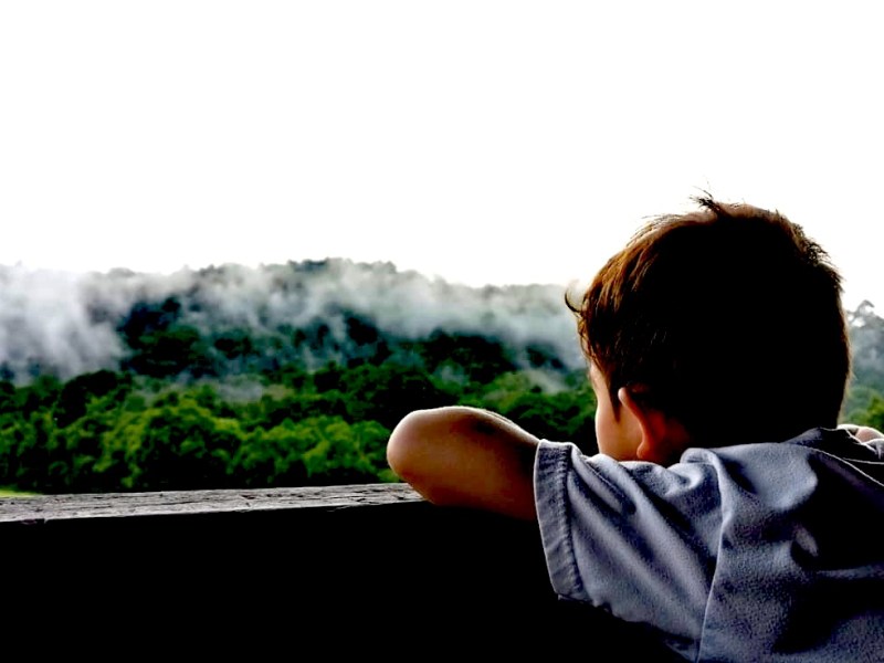 When The Gibbons Took Flight From Above – Khao Yai National Park