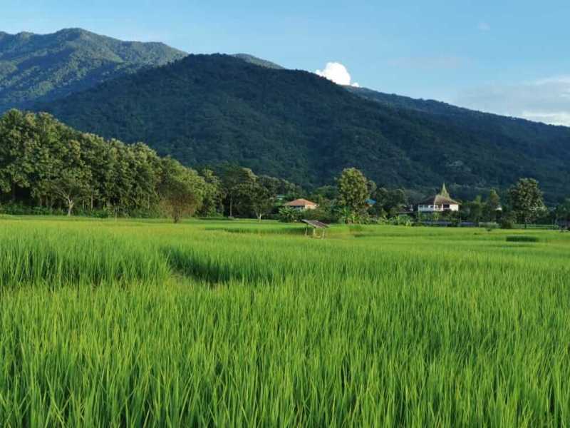 A Slow Travel Guide To Nan Province Thailand 2026: Heritage, Sustainability and Luxury In The Kingdom’s Best Kept Secret