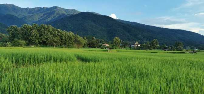 Mist over mountain peaks and emerald rice fields in Nan Province northern Thailand